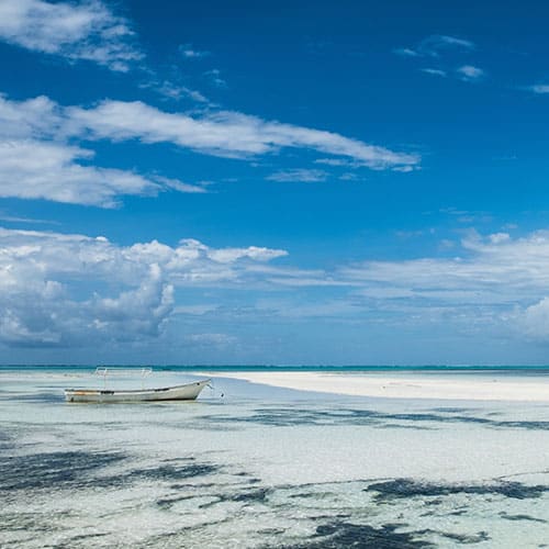 Tanzânia: Safaris em Manyara, Serengeti e N'Gorongoro com Zanzibar