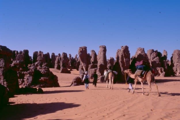 Viajando com os Tuaregues no Sahara, Gonçalo Velez, 2007