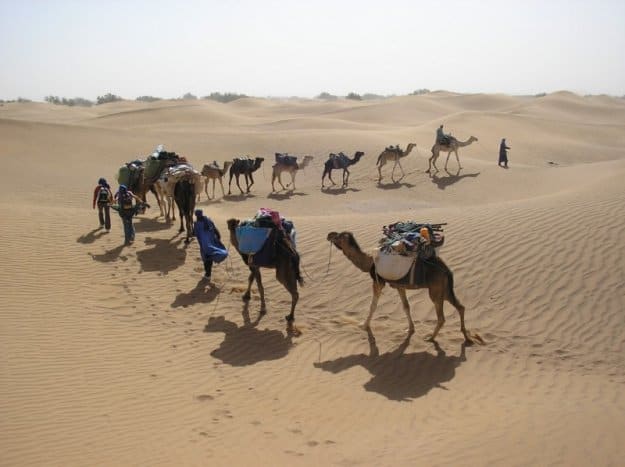 Marrocos: Caravana de Camelos, Paula Ramusga, 2008